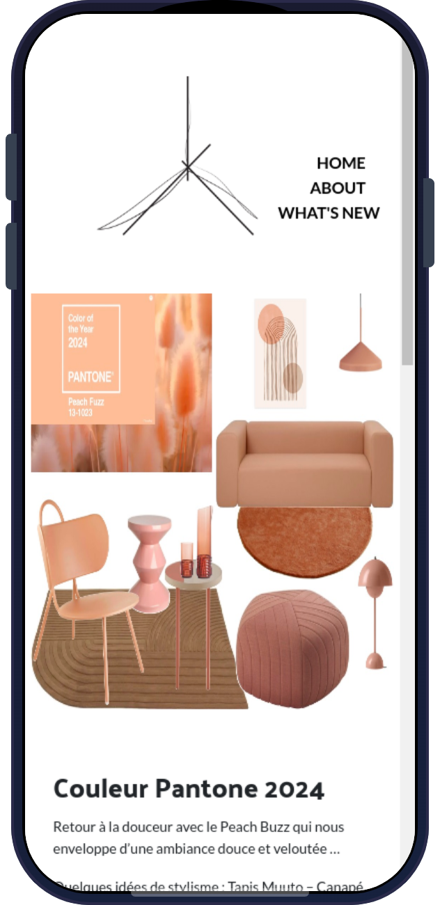 mockup smartphone ON A MARCHÉ DANS L'ESPACE - page couleur Pantone 2024